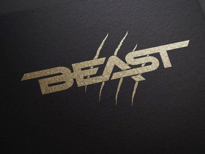 Beast - Fightwear & Fitness Equipment - Branding & Logo Design